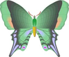 Vintage Butterfly Cartoon Green Image